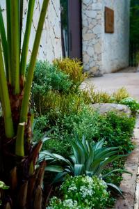 Rivana Retreat