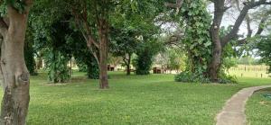 Camp Hogo Kavango