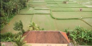 Sari Uma Guest House