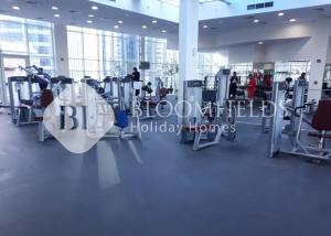 Bloomfileds Executive Stu in Hydra