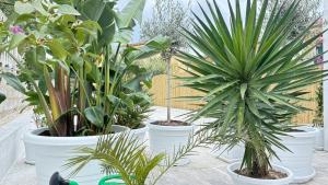 Villa Solea Sardinia img59