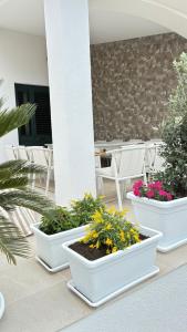 Villa Solea Sardinia img68