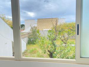 I Limoni di Puglia by Sweet Home Puglia