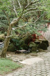 Toom Sara Forest Stay - Danang