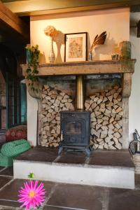 Bohemian Experience Wellness, Jacuzzi, Sauna, BBQ, Garden, Sleeps 14