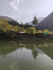 Baaga Village Cottages - Tirthan Valley