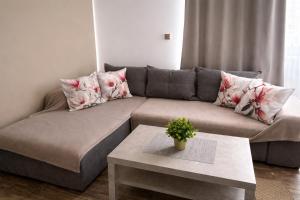 Apartmány Rosijo