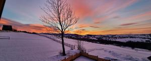 Luxury Cottage Krisowa Chata