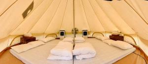 Sunny Camping Sóc Sơn