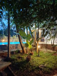 Sambodhi Yoga House and Zen Centre