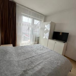 Cozy apartment