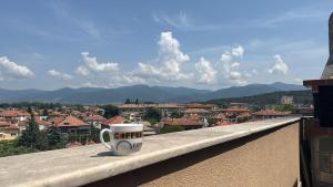 Apartments Genie, central