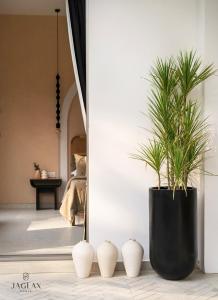 Oryza by Koala V2 4BR Pool Villa in Siolim