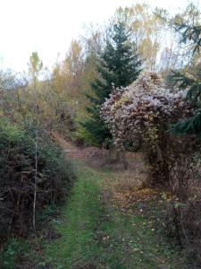 El Molino de Calixto Boutique Suites