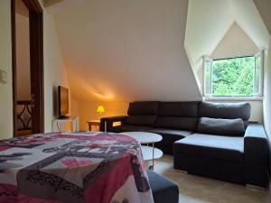 Oasis Ponte San Lázaro