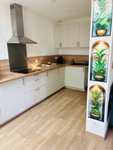 Spacieux T3 au coeur dille