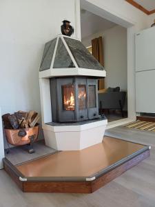 Cozy house in nature near ski resort Romme Alpin