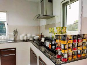 Laid back Luxury Pool Villa Chiang Rai