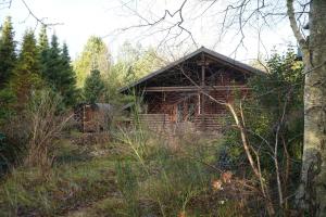 The Log Cabin