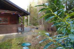 The Log Cabin
