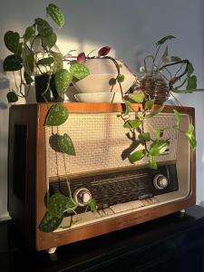 Coliving Surf & Permaculture - Vivenda Felicidade