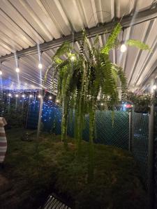 Apartment with its own 100-inch cinema