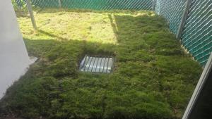 Apartment with its own 100-inch cinema