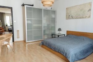 Apartment Park Krakowski