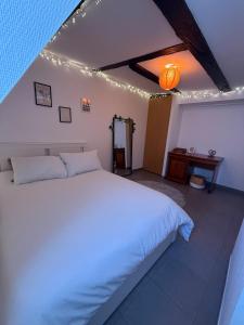 Appartement en duplex au centre-ville de Sélestat