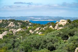 Akria Cervo by Klodge img5