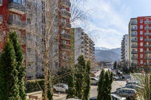 Avangarden Bartolomeu Stay