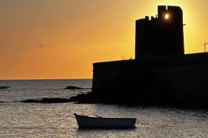 Villa Palm Shade img15