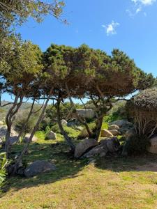 Dimora Sarda img18