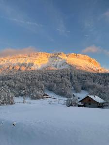 lappartement Plainpalais