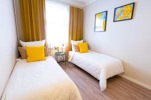 BetterBeds Wilhelm City