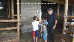 Chalets les Genets : photos des chambres