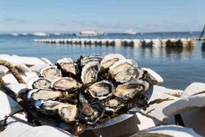 VILLA DAUSSY - 3 CHAMBRES - Proche Centre