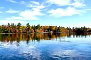 Sauna and Game Room! Tranquil Retreat on Grace Lake