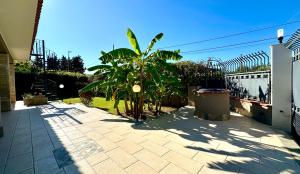 Villa Arenella 300m from Beach with Garden & Parking