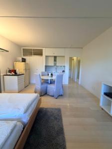 Holiday on The Lake Lugano 2