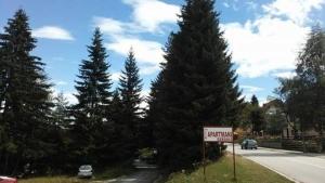 Apartments Grbović