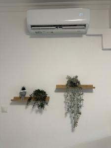 I gabbiani apartment