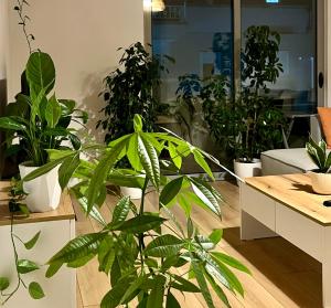 Plant house