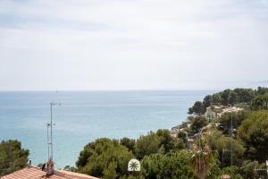 Mediterranean Way - Carpe Diem