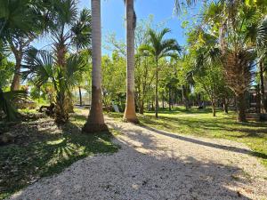 Villa Carulio