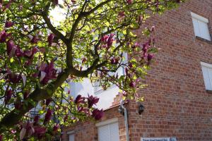 Emanapartmanok Sárvár