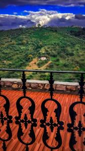 Ayda Bağları Winery & Vineyards