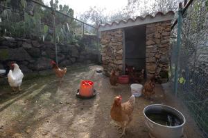 Casa Vacanze Baralla img42