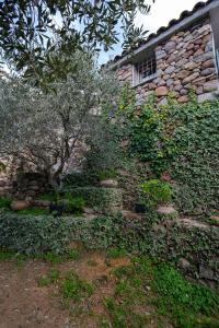 Casa Vacanze Baralla img64