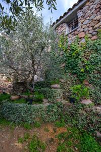 Casa Vacanze Baralla img65